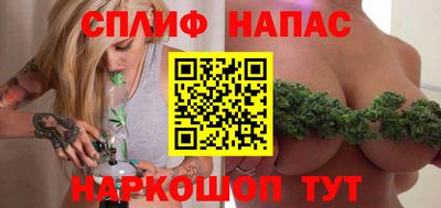 МДПВ Будённовск